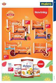 Makro leták Strana 29