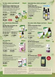 Vitalia Prospekt Seite 6