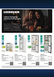 Euronics Prospekt Seite 33