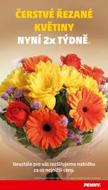 Penny Market leták týden 49 Strana 37