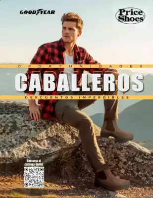 Catálogo Price Shoes (válido hasta 31-12)