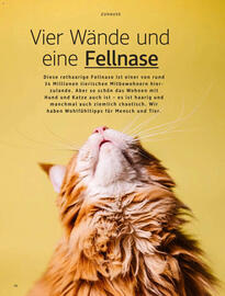 Dm drogerie Magazin Seite 94