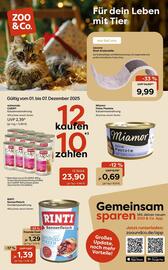 Zoo & Co Prospekt woche 49 Seite 1