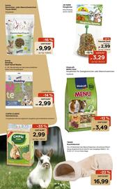 Zoo & Co Prospekt woche 49 Seite 10