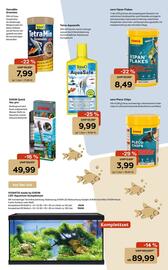 Zoo & Co Prospekt woche 49 Seite 11