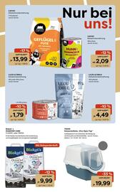 Zoo & Co Prospekt woche 49 Seite 4