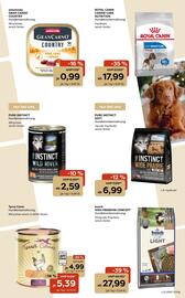 Zoo & Co Prospekt woche 49 Seite 7