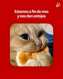 Catálogo Claro semana 49 Página 1