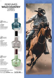 Catálogo Avon Página 111