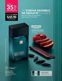 Catálogo Avon Página 13