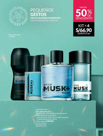 Catálogo Avon Página 17