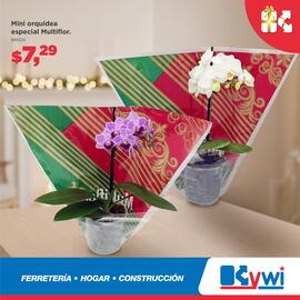 Catálogo Kywi semana 49 Página 2