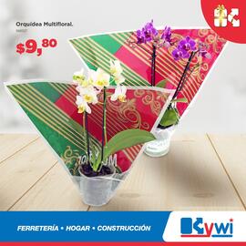 Catálogo Kywi semana 49 Página 3