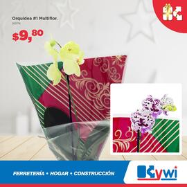 Catálogo Kywi semana 49 Página 4