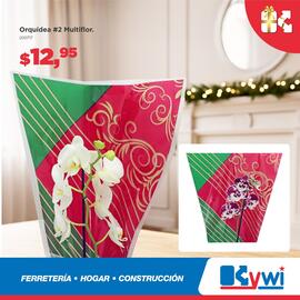 Catálogo Kywi semana 49 Página 5