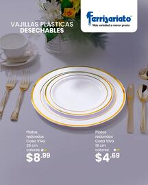 Catálogo Ferrisariato semana 49 Página 1