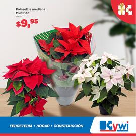 Catálogo Kywi semana 49 Página 1