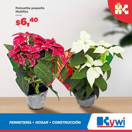 Catálogo Kywi semana 49 Página 3