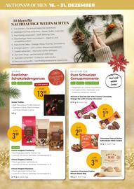 Martin Reformstark Flugblatt Seite 10