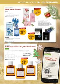 Martin Reformstark Flugblatt Seite 11