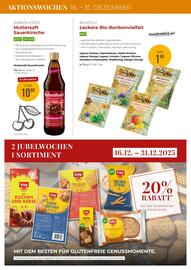 Martin Reformstark Flugblatt Seite 12