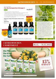 Martin Reformstark Flugblatt Seite 15