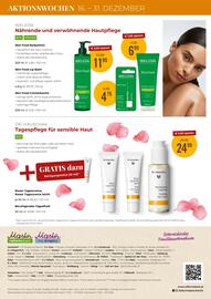 Martin Reformstark Flugblatt Seite 16