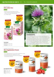 Martin Reformstark Flugblatt Seite 4