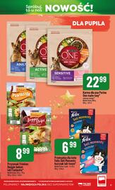 Polomarket gazetka Strona 17