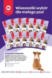 AquaelZOO gazetka Strona 11