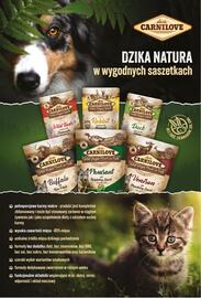 AquaelZOO gazetka Strona 13