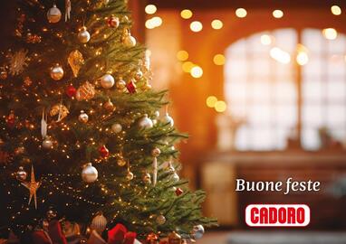 Volantino Cadoro Pagina 40