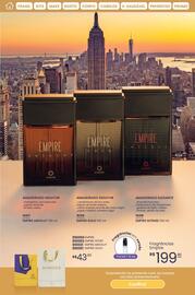 Catálogo Hinode Página 36