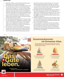 Globus Mio Magazin Seite 11