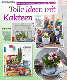 Poco Magazin Seite 52