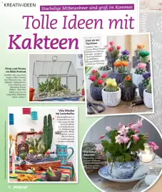 Poco Magazin Seite 52