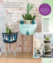 Poco Magazin Seite 53