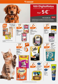 Müller Prospekt woche 49 Seite 10