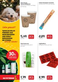 Der Grissemann Flugblatt woche 49 Seite 10