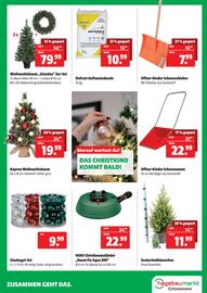 Der Grissemann Flugblatt woche 49 Seite 11