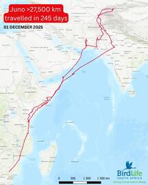 Subaru catalogue week 49 Page 3