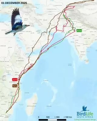 Subaru catalogue (valid until 7-12)