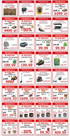 Szarotka gazetka Strona 1