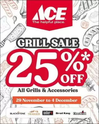 Ace catalogue (valid until 4-12)