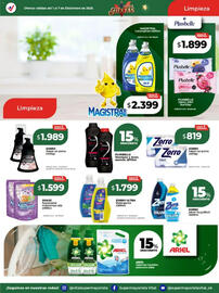 Catálogo Supermayorista Vital semana 49 Página 11