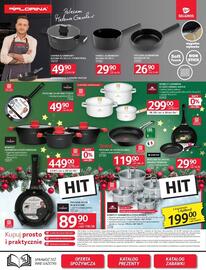 Selgros gazetka Strona 13