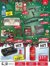 Selgros gazetka Strona 31