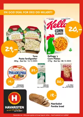 Havaristen kundeavis