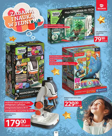 Selgros gazetka Strona 17