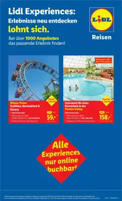 Lidl Flugblatt (gültig bis 14-12)